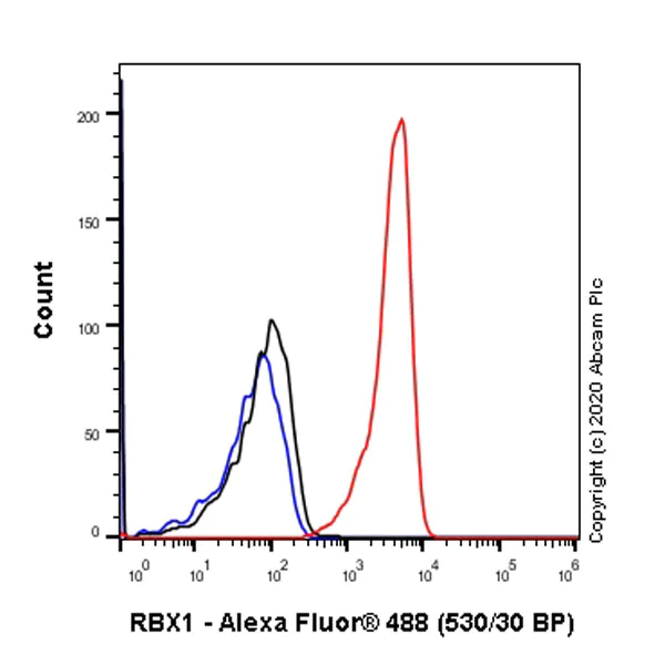 Flow Cytometry (Intracellular) - Anti-RBX1 antibody [EPR6850(B)] - BSA and Azide free (AB248556)