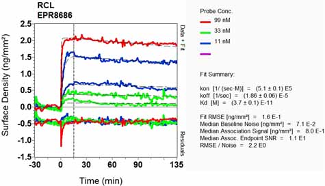 OI-RD Scanning - Anti-RCL antibody [EPR8686] (AB131252), expandable thumbnail