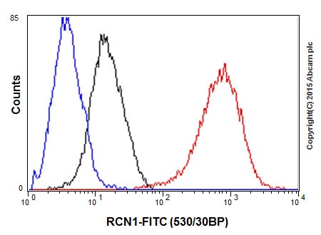 Flow Cytometry (Intracellular) - Anti-RCN1/RCN antibody [EPR17162] (AB205927)