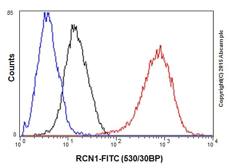 Flow Cytometry (Intracellular) - Anti-RCN1/RCN antibody [EPR17162] (AB205927)