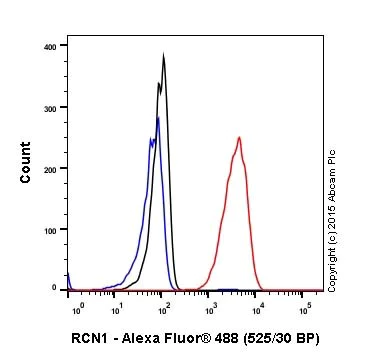 Flow Cytometry (Intracellular) - Anti-RCN1/RCN antibody [EPR17163-117] (AB210404)