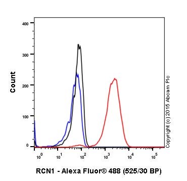 Flow Cytometry (Intracellular) - Anti-RCN1/RCN antibody [EPR17163-117] - BSA and Azide free (ab251515), expandable thumbnail