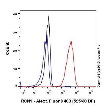 Flow Cytometry (Intracellular) - Anti-RCN1/RCN antibody [EPR17163-117] - BSA and Azide free (ab251515), expandable thumbnail