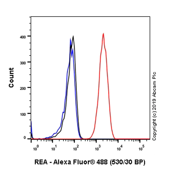 Flow Cytometry (Intracellular) - Anti-REA antibody [EPR14523] - BSA and Azide free (AB250582)