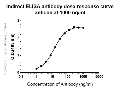 Indirect ELISA - Anti-RecA antibody [EPR29094-561] (AB323376)