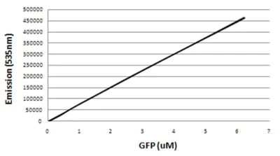 Functional Studies - Recombinant A. victoria GFP protein (AB84191)