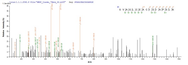Mass Spectrometry - Recombinant Brucella abortus Malate dehydrogenase protein (His tag) (AB224852), expandable thumbnail