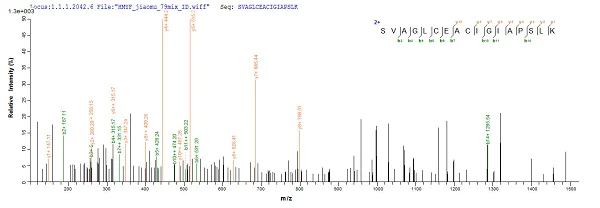Mass Spectrometry - Recombinant Brucella abortus Malate dehydrogenase protein (His tag) (AB224852)