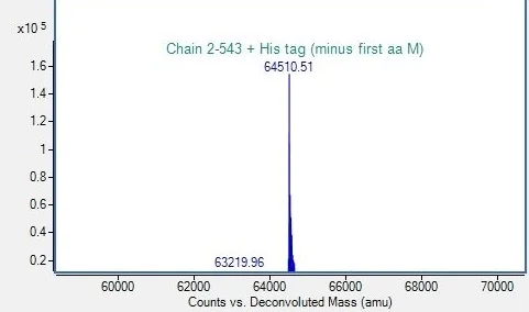 Mass Spectrometry - Recombinant Clostridioides difficile Toxin B/TcdB Protein (His-tag) (AB318256)