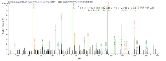 Mass Spectrometry - Recombinant Cow Pregnancy associated glycoprotein 1 (His tag) (AB238225)