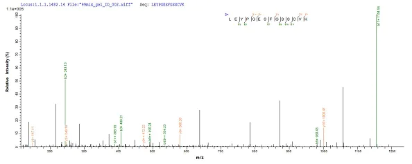 Mass Spectrometry - Recombinant Cyanovirin-N homologue protein (His tag) (AB240855)