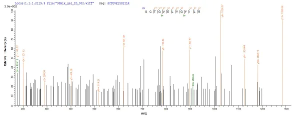 Mass Spectrometry - Recombinant Cyanovirin-N homologue protein (His tag) (AB240855)