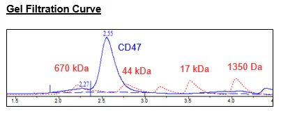 Size Exclusion Chromatography - Recombinant Cynomolgus monkey CD47 protein (Fc tag C-Terminus + Avi tag C-Terminus) (AB271433)