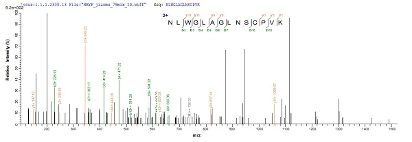 Mass Spectrometry - Recombinant Cynomolgus monkey IL-4 protein (His tag) (AB241268)