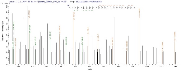 Mass Spectrometry - Recombinant Cynomolgus monkey Prealbumin protein (His tag) (AB239566), expandable thumbnail