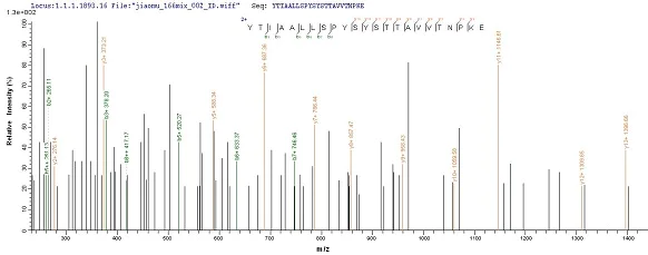 Mass Spectrometry - Recombinant Cynomolgus monkey Prealbumin protein (His tag) (AB239566)