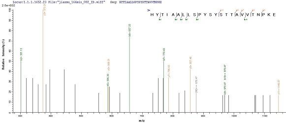 Mass Spectrometry - Recombinant Cynomolgus monkey Prealbumin protein (His tag) (AB239566), expandable thumbnail