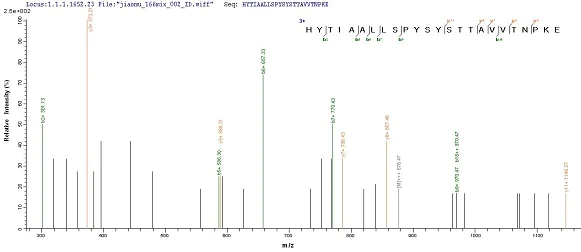 Mass Spectrometry - Recombinant Cynomolgus monkey Prealbumin protein (His tag) (AB239566)