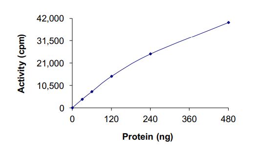 Recombinant cynomolgus monkey RIP protein (Active)