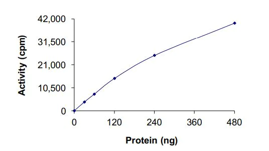 Functional Studies - Recombinant cynomolgus monkey RIP protein (Active) (GST tag N-Terminus) (AB268943)