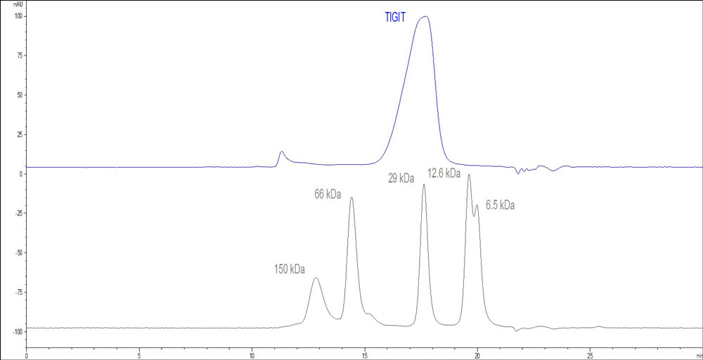HPLC - Recombinant cynomolgus monkey TIGIT protein (Active) (AB223112), expandable thumbnail