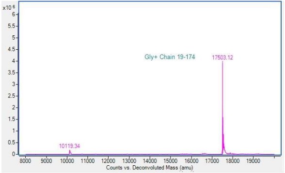 Mass Spectrometry - Recombinant Cynomolgus monkey TREM2 protein (AB290833)