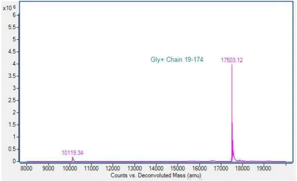 Mass Spectrometry - Recombinant Cynomolgus monkey TREM2 protein (AB290833)