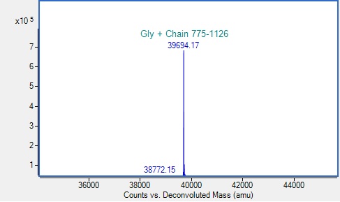 Recombinant Dengue Virus 4 NS1 glycoprotein