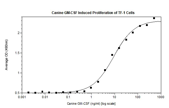 Functional Studies - Recombinant dog GM-CSF protein (Active) (AB269202)