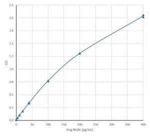 ELISA - Recombinant Dog Lipocalin-2 / NGAL protein (AB188060)