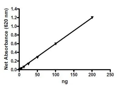Functional Studies - Recombinant dog PDE3A protein (Active) (DDDDK tag C-Terminus) (AB271677)