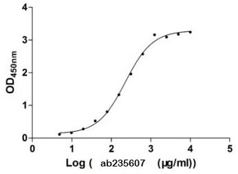 Recombinant E. coli Aquaporin Z protein (Active)