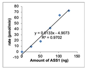 Functional Studies - Recombinant E. coli ASS1 protein (Active) (AB286071)