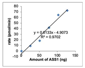 Functional Studies - Recombinant E. coli ASS1 protein (Active) (AB286071)