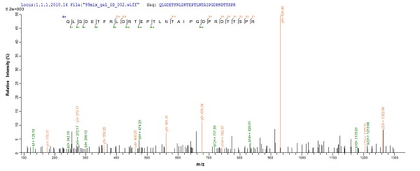 Mass Spectrometry - Recombinant E. coli Beta-lactamase CTX-M-1 protein (His tag) (AB226272)