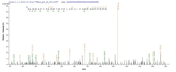Mass Spectrometry - Recombinant E. coli Beta-lactamase CTX-M-1 protein (His tag) (AB226272)