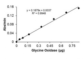 Functional Studies - Recombinant E. coli Glycine oxidase protein (Active) (AB285972)