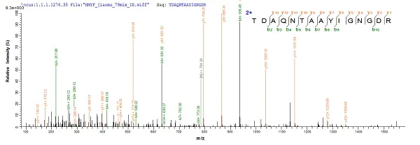 Mass Spectrometry - Recombinant E. coli Outer membrane protein C (Tagged) (AB225590)