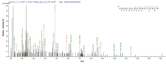 Mass Spectrometry - Recombinant EBV gp340/220 Envelope Protein (Tagged) (AB237750)