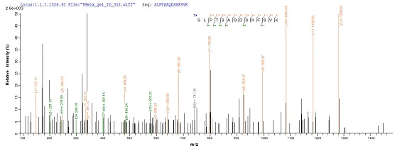 Mass Spectrometry - Recombinant EBV gp340/220 Envelope Protein (Tagged) (AB237750)