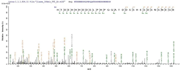 Mass Spectrometry - Recombinant EBV Latent Membrane Protein 1 (His tag) (AB240835)