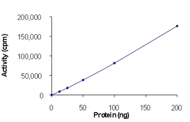 Functional Studies - Recombinant EGFR deletion 746-750 (mutated T790M) protein (Active) (AB268470)