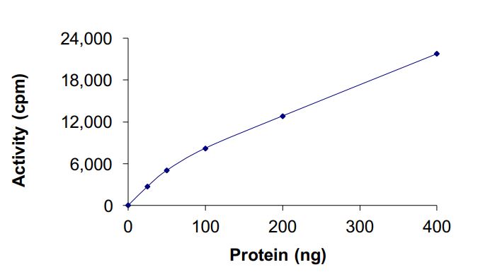 Functional Studies - Recombinant EGFR deletion 747-749 (mutated A750P) protein (Active) (AB268472), expandable thumbnail
