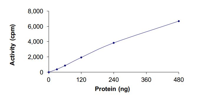 Recombinant EGFR (mutated P753S & del747-752) protein (Active)