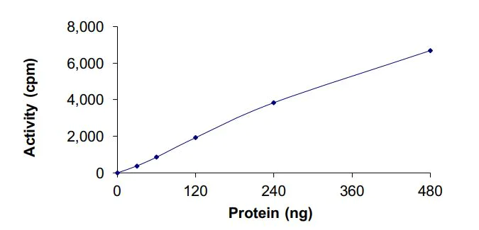 Functional Studies - Recombinant EGFR (mutated P753S & del747-752) protein (Active) (AB268473)