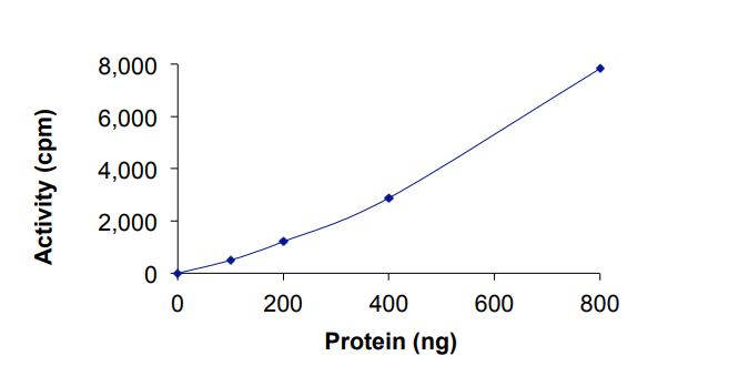 Recombinant EGFR protein del752-759 (Active)