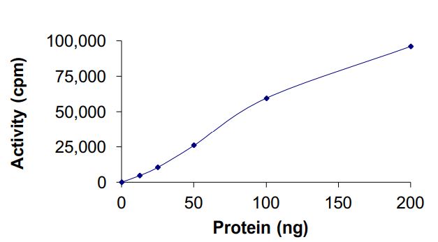 Recombinant EGFR protein deletion 746-750 (Active)