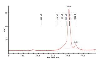Size Exclusion Chromatography - Recombinant EN-TEV Protease protein (AB285976)