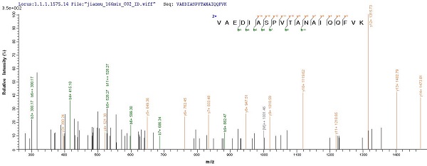 Mass Spectrometry - Recombinant Gingipain R1 protein (His tag) (AB225982)