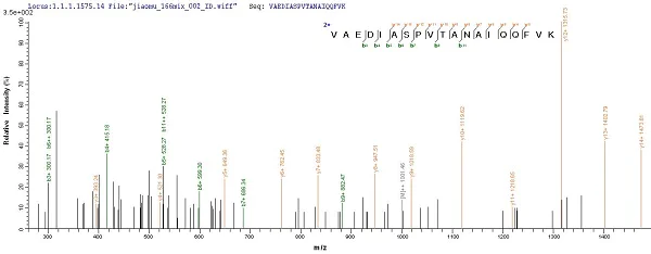 Mass Spectrometry - Recombinant Gingipain R1 protein (His tag) (AB225982)